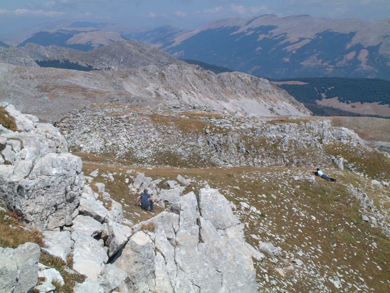 le mie prime foto ai camosci d''abruzzo